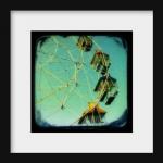 Ferris Wheel Photo Print 5x..